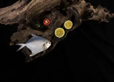 Fine Art photography