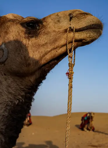 Documentary Photography